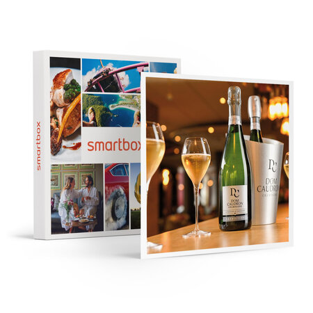 SMARTBOX - Coffret Cadeau Dégustation de champagnes et visite en famille près de Reims -  Gastronomie
