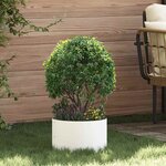 vidaXL Pots de jardin 5 Pièces Blanc 30 x 30 x 20 cm Acier