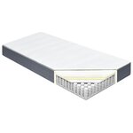 vidaXL Matelas de sommier tapissier 200x100x20 cm