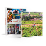 SMARTBOX - Coffret Cadeau Excursion en quad de 2h près de Limoges pour 2 adultes et 2 enfants. -  Sport & Aventure