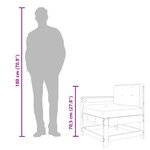 vidaXL Chaise de jardin avec coussins bois de pin imprégné