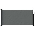 vidaXL Store latéral rétractable Anthracite 100x300 cm
