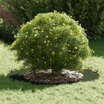 vidaXL adapté pour anneaux d'arbre plats 5 Pièces Vert olive Ø50 / 80 cm