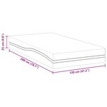 vidaXL Matelas Blanc  Gris 120 x 200 cm Mousse