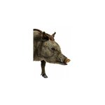 Hansa Peluche Geante Sanglier 95 cm H et 140 cm L