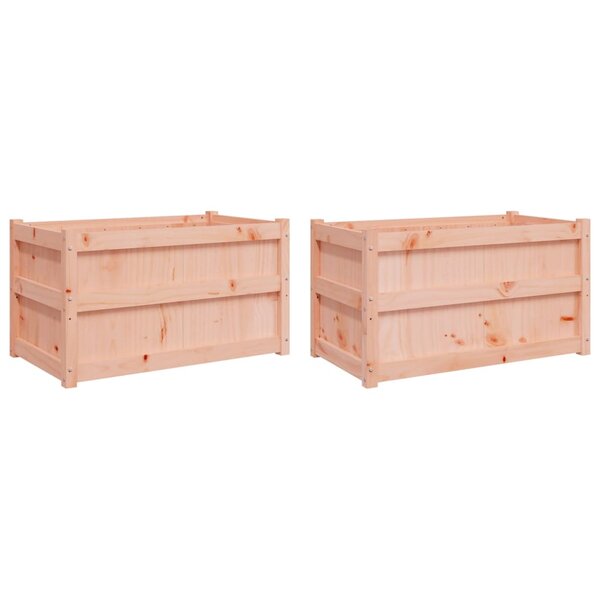 vidaXL Jardinières 2 Pièces bois massif douglas