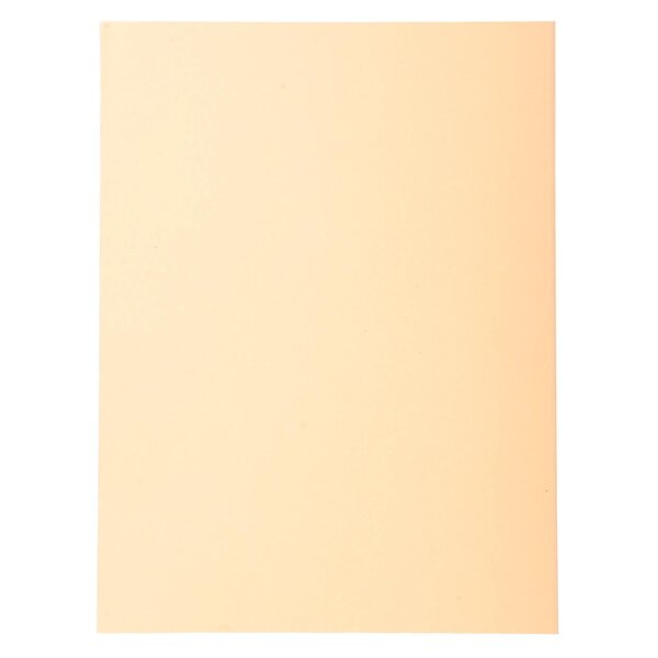 Paquet De 100 Chemises Forever® 220 100  Recyclé - 24x32cm - Bulle - X 5 - Exacompta