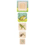 Dans la forêt - la grenouille pousse  31 pièces de puzzle