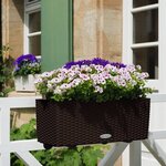 LECHUZA Jardinière BALCONERA Cottage 50 ALL-IN-ONE Moka