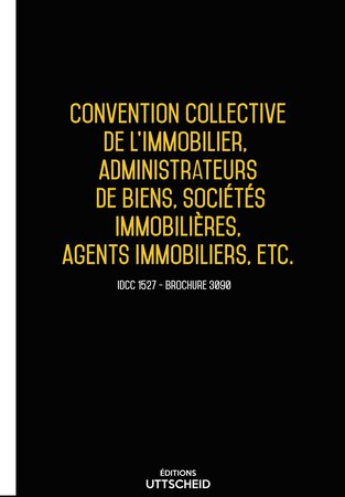 Convention collective nationale de l'immobilier  administrateurs de biens  sociétés immobilières 2024 - Brochure 3090 + grille de Salaire UTTSCHEID