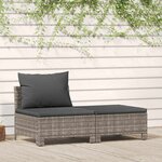 vidaXL Salon de jardin 2 Pièces avec coussins Gris Résine tressée