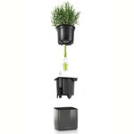 LECHUZA 3 Pièces Jardinières Green Wall Home Kit Anthracite brillant