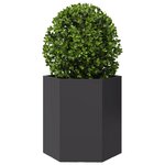 vidaXL Jardinières 2 Pièces noir hexagone 46x40x45 cm acier