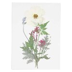 Fleurs séchées et pressées - blanc et violet