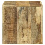 vidaXL Meuble TV 2 Pièces Marron Bois de manguier brut massif