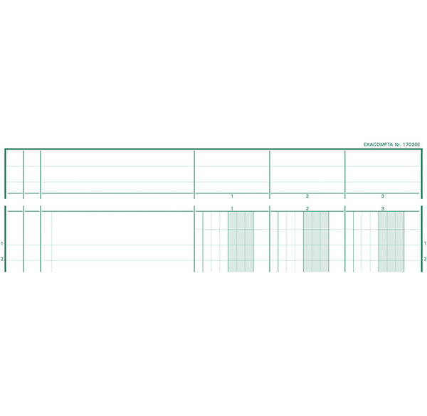 PIQ. 29,7/21 T.P. 3 Colonnes 80p. EXACOMPTA