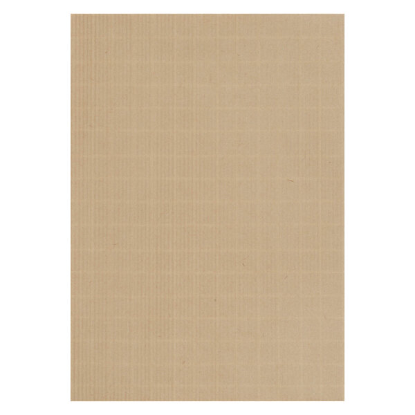 Pochette kraft armé brun 162 x 229 mm 130 g - boîte de 500 - gpv