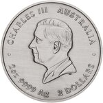 Pièce de monnaie en Argent 2 Dollars g 62.2 (2 oz) Millésime 2025 EMU UTINGAT