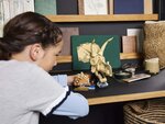 LEGO Jurassic World - Crâne de Tricératops et Fossiles de Dinosaures - 76969