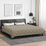 vidaXL Duvet d'hiver Gris clair 220 x 240 cm Microfibre