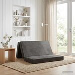 vidaXL Canapé-lit pliable 200 x 67 x 45 cm Gris clair