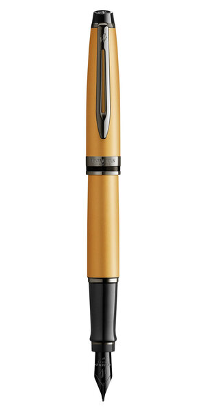 Waterman expert stylo plume  or métallisé  plume fine  encre bleue  coffret cadeau