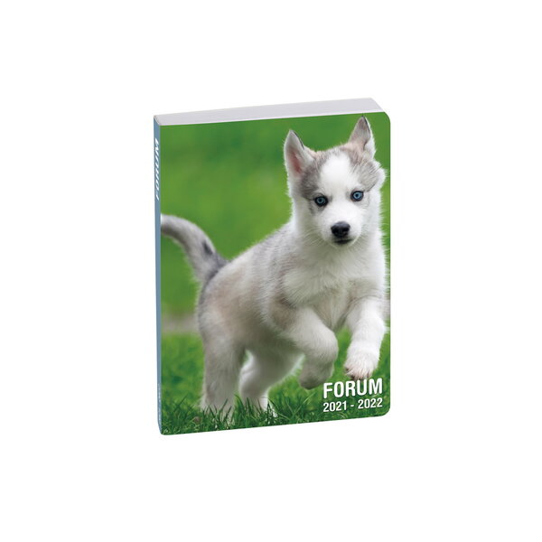 Agenda Scolaire 2021-2022 - 17x12 cm - Multilingue - Chiot