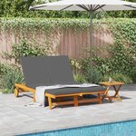 vidaXL Baignoire de soleil double avec roues et coussins en bois d'acacia solide