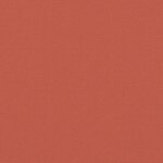 vidaXL Auvent latéral rétractable terre cuite 200x1000 cm