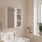 vidaXL Armoire de salle de bain à miroir avec LED blanc 45x13x52 cm