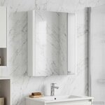 vidaXL Armoire Miroir de Salle de Bain Blanc 43 x 11 5 x 60 5 cm
