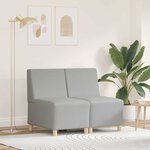 vidaXL Unité de Sofa Modulaire Sans Accoudoirs 2 Pièces Gris nuage