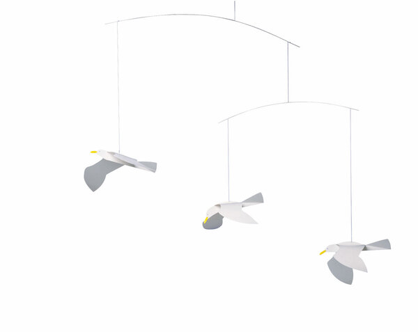 Soaring Seagulls