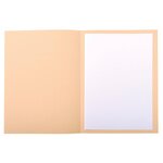 Paquet 50 Chemises Forever® 220 100  Recyclé Avec Impression - 24x32cm - Bulle - X 5 - Exacompta