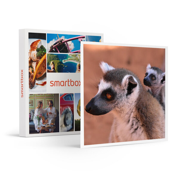 Visite virtuelle d'une réserve animale à paris  à la découverte de plus de 140 espèces - smartbox - coffret cadeau multi-thèmes