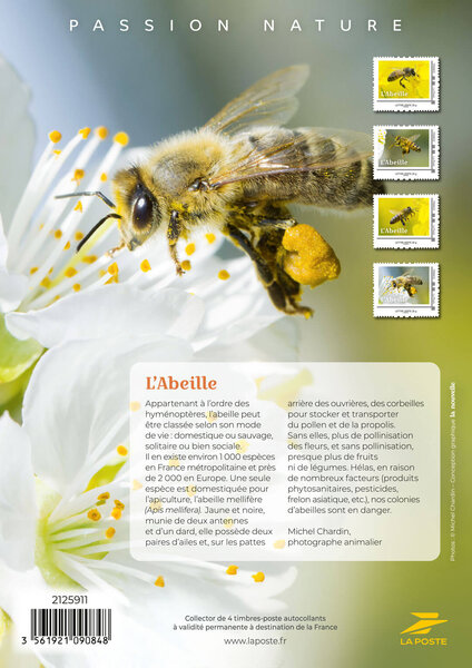 Écran LCD Lenovo 15.6" FHD IPS - Dalle De Rechange FRU 5D10M43965, Connecteur 30 Broches