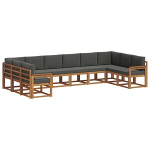vidaXL Ensemble de canapés d'extérieur 10 pc Naturel et Anthracite