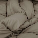 vidaXL Duvet complet toute l'année Gris clair 240 x 260 cm Microfibre