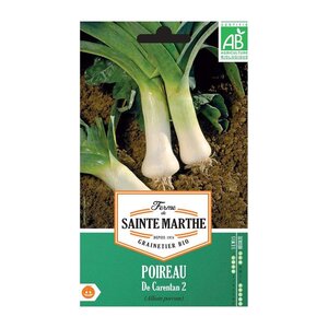 Poireau de carentan bio - Graines à semer