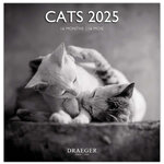 Grand Calendrier Mural 29x29 Cm - 2025 - Chats Black & White - Draeger paris