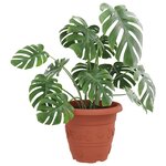 vidaXL Pot à fleurs rond 24 Pièces Rouge brique Ø 39 x 32 cm Plastique