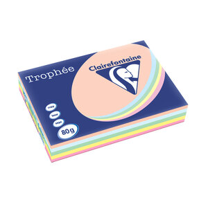 Ramette 500 Feuilles Papier 80g A3 420x297 mm couleurs assorties Pastel TROPHÉE