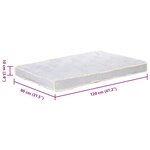 vidaXL Coussin de canapé palette Gris 120x80x10 cm