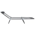 vidaXL Chaise longue pliante 2 Pièces Gris 182 x 55 x 85 5 cm Textilène