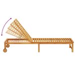 vidaXL Transat 1-personne Marron 53 x 202 x 89cm Bois d'acacia massif
