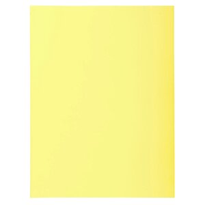 Paquet De 50 Chemises 2 Rabats Super 210 - 24x32cm - Canari - X 5 - Exacompta