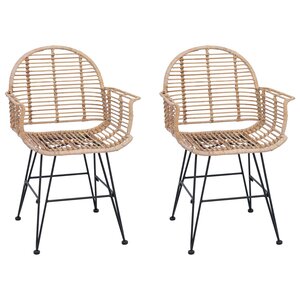 vidaXL Chaise de salle à manger 2 pc Rotin et métal Naturel