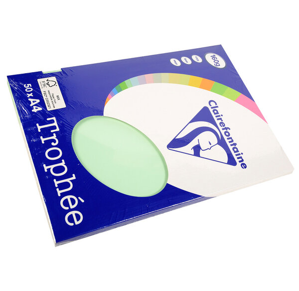 Ramette 50 Feuilles Papier 160g A4 210x297 mm vert x 10 CLAIREFONTAINE