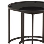 vidaXL Ensemble de tables basses 2 Pièces 55 x 55 x 45 cm acier