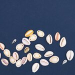 10 Perles - Coquillages naturels - 2 perforations